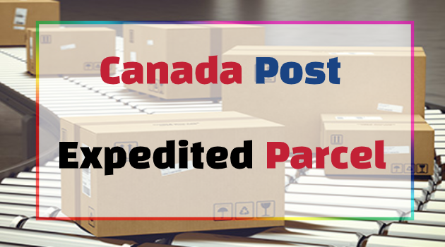 What is Canada Post Expedited Parcel Service